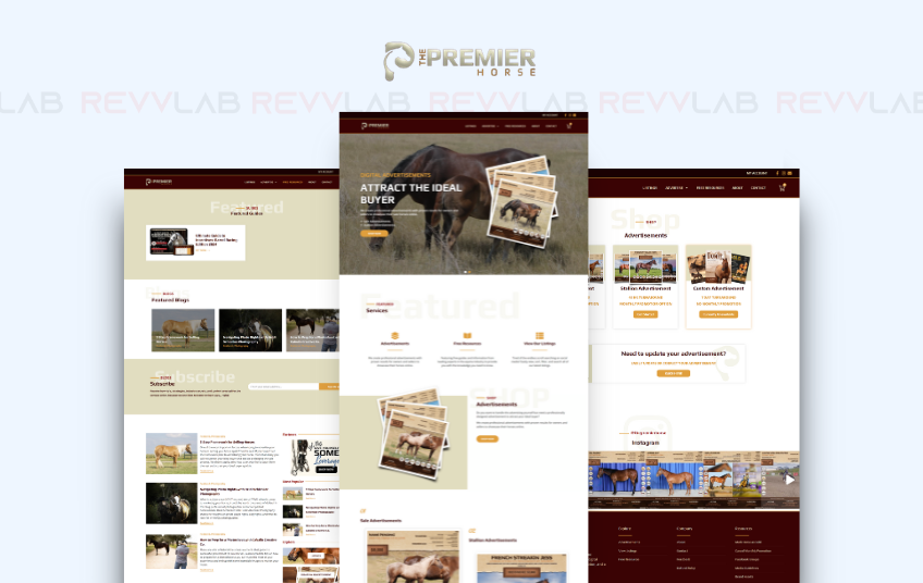 RevvLab agency's portfolio